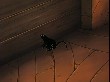 OUTPUT_000000.jpg